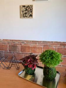 Fotografie z fotogalerie ubytování Yamaharuka Historic House v Ťin-chue
