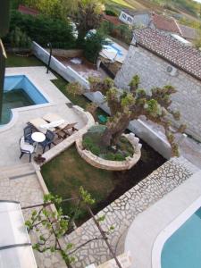 a bonsai tree in a garden next to a pool at Villa zita in Poreč +63 photos