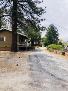 Gallery image of Mountain View Cabins in Wrightwood