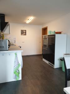 a kitchen with a black refrigerator and a counter at Skibbi`s Ferienhaus an der Sonnenloipe in Friedrichsbrunn