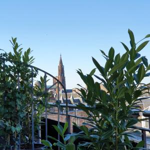 a view of the cathedral from the roof of a building at Maison LUTETIA R in Strasbourg