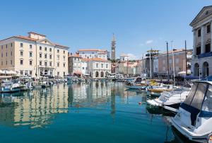 a group of boats are docked in a harbor at Studio Sonja in Piran