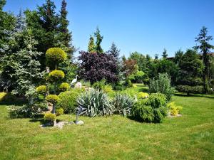 LednogóraにあるOaza spokojuのギャラリーの写真