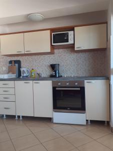 Kuchyň nebo kuchyňský kout v ubytování Apartments Markota