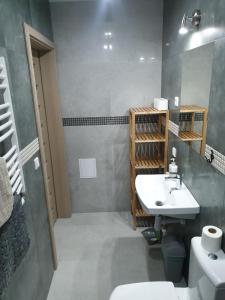 Brzeziny的住宿－Nocleg Greys，一间带水槽和卫生间的浴室