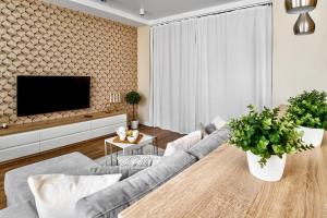 sala de estar con sofá y TV en BEST EuApartments, en Grodno