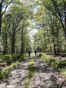zwei Leute, die einen Feldweg im Wald entlang gehen in der Unterkunft Le Val Suzenay in Vendeuvre-sur-Barse