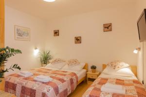 Postel nebo postele na pokoji v ubytování Apartments Rozle