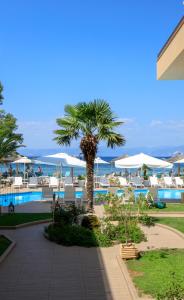 a palm tree next to a pool with white umbrellas at Mediterranean Beach Hotel in Skala Rachoniou +29 photos