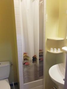 a bathroom with a shower curtain and a toilet at Escale en Baie de Somme in Cayeux-sur-Mer