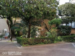 un albero di fronte a un edificio vicino a una strada di Hotel Giardino degli Aranci a Frattamaggiore