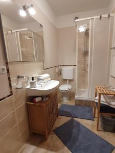 a bathroom with a sink and a shower and a toilet at Apartments RELAX 2 in Rab