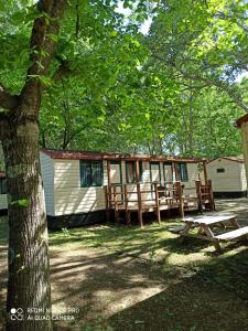 a cabin with a picnic table next to a tree at Bolsena Holiday House in Bolsena