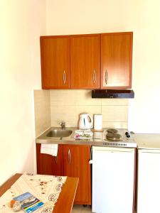 Kuchyň nebo kuchyňský kout v ubytování Apartments Aga