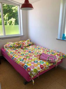 内克瑟Havnegade 70, Nexø, Bornholm的相册照片