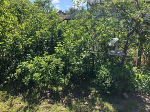 コシャリンにあるApartamenty Parkowaのギャラリーの写真 +15枚の写真