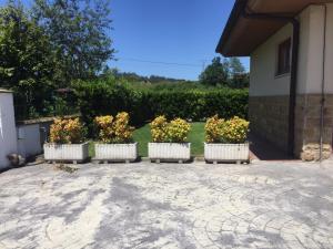 cuatro plantadores blancos con flores en ellos al lado de un edificio en Villa Ibio, en Riaño de Ibio