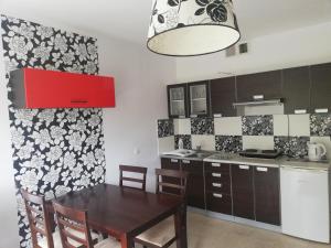Kuchyňa alebo kuchynka v ubytovaní Apartamenty Sonata