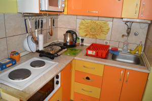 Kuchyň nebo kuchyňský kout v ubytování Apartment Adela