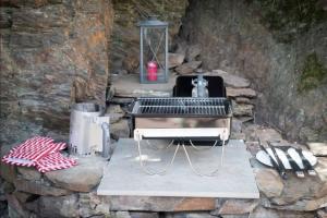 a dog sitting in a grill in a stone wall at Haus Sonnenschein in Bad Bertrich