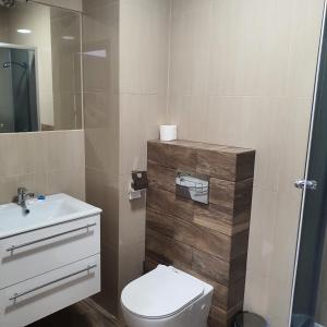 ein Bad mit einem WC, einem Waschbecken und einer Dusche in der Unterkunft JURAJSKI OLSZTYN in Olsztyn
