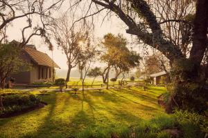 a grassy yard with a house and a tree at First Group Magalies Park in Hartbeespoort