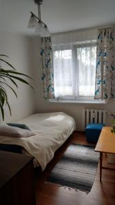 - une chambre avec un lit, une fenêtre et un tapis dans l'établissement Apartament Jana z Kolna, à Ustka
