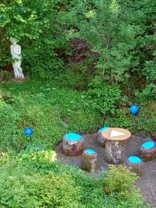 un jardín con una mesa y frisbees azules en Frauenpension Arleta - Women only, en Goslar