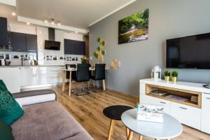 Kuchnia lub aneks kuchenny w obiekcie Apartamenty Izerskie - ul. Cicha 13H-I