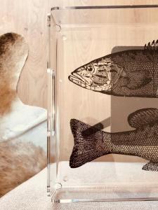 a glass display case with a fish in it at A Villa by the Sea Bed & Breakfast in Vila Franca do Campo
