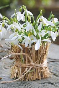 a vase filled with white flowers on a table at Sadyba Domashniy zatyshok in Pilipets