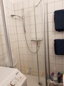 a shower in a bathroom with a washing machine at Am Landschaftsschutzgebiet, 3 Zimmer, nur mit Mietvertrag in Halle-Neustadt