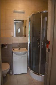 a bathroom with a shower and a sink and a toilet at Apartament Przystań in Darłowo