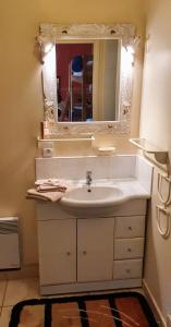 een badkamer met een wastafel en een spiegel bij Le Relais de Montchat in Lyon