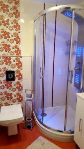 ein Bad mit einer Dusche, einem WC und einem Waschbecken in der Unterkunft Ferienwohnung Herzblatt in Willingen