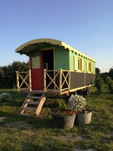 een tiny house op een trailer in een veld bij La roulotte MAGIC ! des Grillots in Beaulon