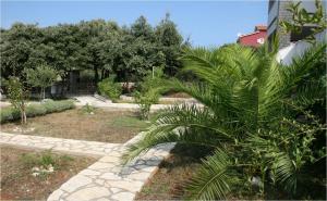 Galeriebild der Unterkunft Apartman Roman Mandre in Mandre