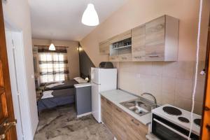 Kuchyň nebo kuchyňský kout v ubytování AK VILLAGE ROOMS