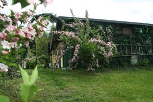 Κήπος έξω από το Chalet Damtschach