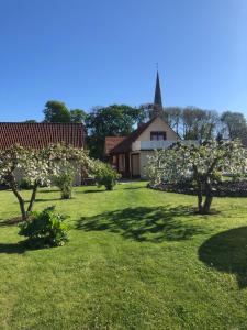 a church and trees in a yard with a church at Kalvi tee Puhkemaja in Viru-Nigula