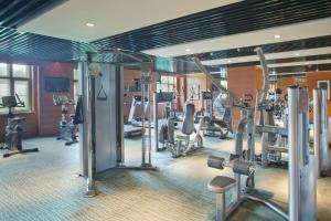 Fitness centrum a/nebo fitness zařízení v ubytování Holiday Inn Mudanjiang by IHG