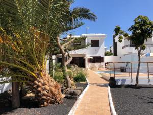 a palm tree in front of a house at Villa Roferos 32 in Puerto del Carmen