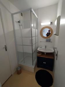 La salle de bains est pourvue d'une douche, d'un lavabo et d'un miroir. dans l'établissement Logement 106 2-4 Personnes 500 m plage classé 2 Etoiles, à Dolus-d'Oléron