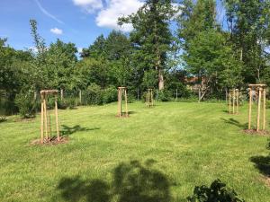 a group of wooden play structures in a field at Ferienhaus an der Selke in Meisdorf