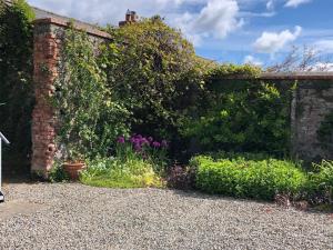 un giardino con fiori viola e un muro di mattoni di Townley Hall Apartments a Slane