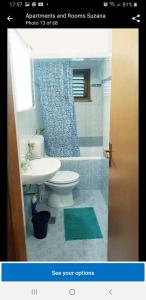 y baño con aseo, lavabo y ducha. en Apartments and Rooms Suzana, en Kršan