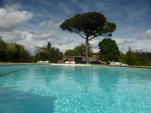 a large swimming pool with a tree in the background at Country House La Casa Paterna in Monte Santa Maria Tiberina