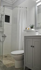 een witte badkamer met een toilet en een douche bij El Mirador de Viana in La Laguna