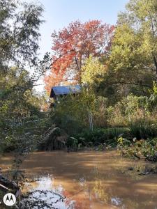 ティグレにあるCabañas Aqui y Ahoraの川岸家 +22枚の写真