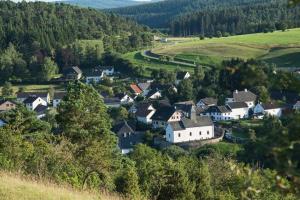 eine Luftansicht eines Dorfes in den Hügeln in der Unterkunft Zum Goldenen Schaf II in Ahrdorf